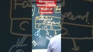 BiologyNitrogenous Metabolic Waste and Modes of Excretion [upl. by Anod919]