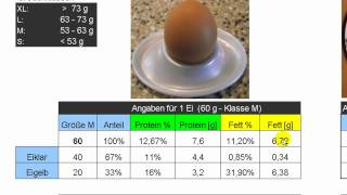 Protein und Fettgehalt beim Ei  Eiweißanteil im Hühnerei  Eiweiß und Eiklar [upl. by Ahsiral608]