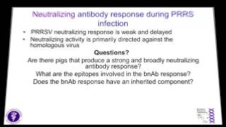 Dr Bob Rowland  Not All PRRSV Antibodies are Created Equal [upl. by Silenay]