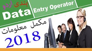 What is Data Entry Operator  Roles amp Responsibilities  Government Jobs  Server Urdu  Hindi [upl. by Amitarp]