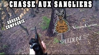 Chasse aux sangliers en battue  UNE GROSSE COMPAGNIE DE SANGLIERS [upl. by Akirehs874]