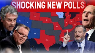 2024 Senate Map Predictions Based On the Latest Poll in EVERY STATE [upl. by Ilat702]