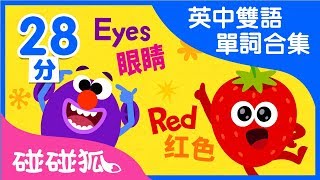 英中雙語 單詞合集兒歌合集  Learn Chinese and English together  碰碰狐PINKFONG  兒童兒歌 [upl. by Rahab]