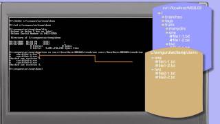 28502Subversion svn co multiple URLscreating a working copy [upl. by Baird]