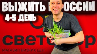 ОБМАНУЛ СВЕТОФОР НА ЛУК 🚦 КАК ПРОЖИТЬ В РОССИИ НА МИНИМАЛКУ МРОТ [upl. by Mian]