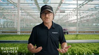 One Of The World’s Largest Indoor Farms Is Using Advanced Tech To Build A More Resilient Food System [upl. by Ikcir]