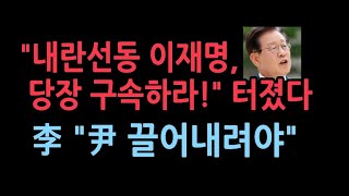 이재명 드디어 본색 드러냈다 quot윤대통령 끌어내려야 한다quot 자신의 구속 임박해니까 선동 폭주이재명 구속 촉구 범국민운동 [upl. by Olympie498]