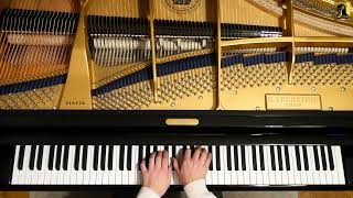 Walzer DesDur Chopin Op70 Nr3 CBechstein A228 [upl. by Tanaka]