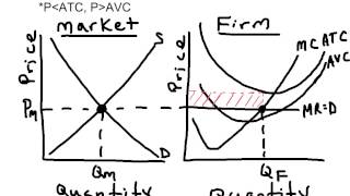 AP Micro Perfect Competition  Short Run Loss [upl. by Cindie]