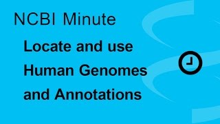 NCBI Minute How to Locate and Use Human Genomes and Annotations from the NCBI [upl. by Hymen]