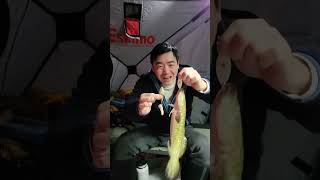 Overnight Ice Fishing Burbot  A Christmas Miracle [upl. by Burck]