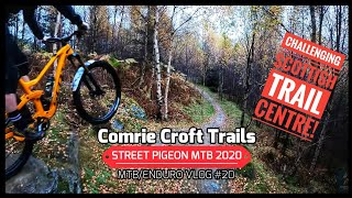 Quick visit to the Comrie Croft Blue Trail  MTB  082023 [upl. by Gnof]