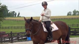 How to Move a Horses Hindquarters Under Saddle [upl. by Yregram]