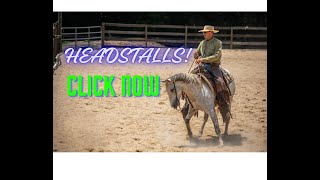 Horse Headstall info [upl. by Ynad]