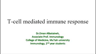 Immunology  T cell mediated immune response [upl. by Waverly]