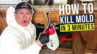 Black Mold  How we get rid of mold in under 3 min [upl. by Narat543]