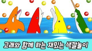 한국어ㅣ고래와 함께 재밌는 색깔놀이 어린이 동물만화 색깔공부ㅣ꼬꼬스토이 [upl. by Annoek345]