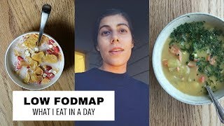 What I Eat in a Day LowFODMAP Diet  2 Week Low FODMAP Challenge [upl. by Solokin]