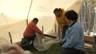 Tent Life in Sheshatshiu Labrador  CLOSER TO HOME  Season 2 Sneak Peek [upl. by Aicatan11]