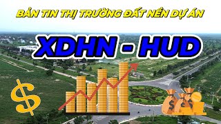 Bản tin thị trường đất nền dự án XDHN HUD Nhơn Trạch ngày 30 tháng 9 năm 2024 [upl. by Putscher]