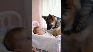 Baby and Dog [upl. by Cinda]