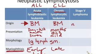 Neoplastic Lymphocytosis [upl. by Litnahs]