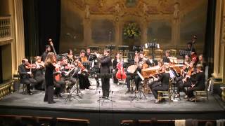 CPE Bach  Concerto for flute strings and continuo in D minor Wq 22 [upl. by Eberhart]