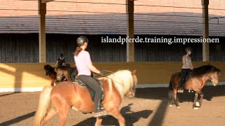 islandpferdetrainingimpressionen [upl. by Nahgaem]