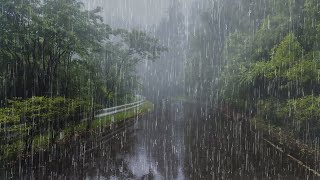 Bruit de Pluie pour Dormir et se Détendre Profondément ⛈ Bruit de Pluie torrentielle et Dorages [upl. by Zilef604]