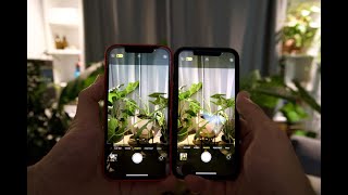 Comment améliorer sa qualité dappareil photo et vidéo sur son iPhone [upl. by Mamoun267]