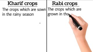 Difference between Kharif Crops and Rabi Crops  what are kharif and Rabi crops with example crops [upl. by Afihtan]