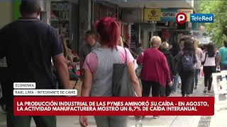 ECONOMÍA  LA PRODUCCIÓN INDUSTRIAL DE LAS PYMES AMINORÓ SU CAÍDA [upl. by Kazim]