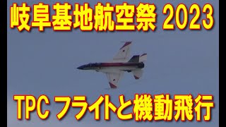 20231112 岐阜基地航空祭 OP 機動飛行1 [upl. by Wittenburg]