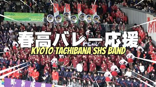 【4K】☆京都橘高校吹奏楽部☆春の高校バレー☆応援☆1回 戦京都橘vs城南☆試合全部収録 [upl. by Ashford231]