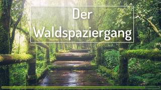 Geführte FantasieTraumreise Meditation  Spaziergang durch den Wald EntspannungEinschlafen [upl. by Rann]