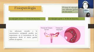 Salpingitis Fisiopatología [upl. by Alo761]