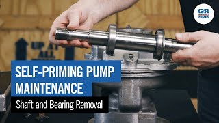 Shaft and Bearing Removal [upl. by Aihsei]