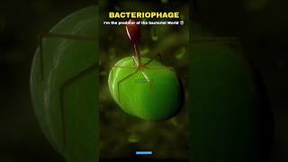 Bacteria vs Virus vs Bacteriophage 🗿👽 shorts scienceofinfinity science [upl. by Brenner]