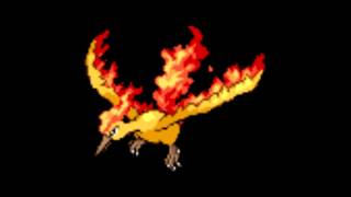 Pokemon Cries  146 Moltres [upl. by Ymorej]