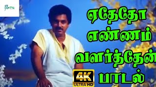 ஏதோதோ எண்ணம் வளர்த்தேன்  Yedhedho Ennam Valarthen K S Chithra Melody H D Song [upl. by Aeniah417]