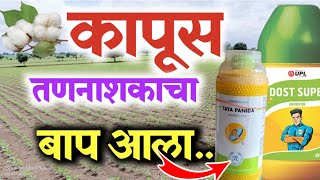 कपाशीवरील उगवणीपूर्वी तणनाशक  Dost Supar  Panida Garnde Pendimethalin 30EC  Cotton Herbicide [upl. by Timoteo]