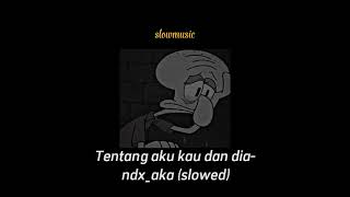 Tentang Aku Kau dan Dia slowed ndxaka [upl. by Hinze171]