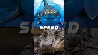 Crocodile Vs Shark comparison video shorts viral comparison crocodile vs shark [upl. by Hosfmann102]