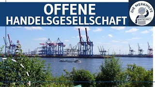 Offene Handelsgesellschaft OHG einfach erklärt  Gründung Aufbau Haftung Kapital amp Finanzierung [upl. by Lombardy]