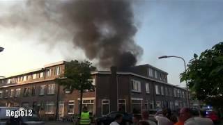 Grote brand in de Kanariestraat Haarlem kat gered door de brandweer [upl. by Innig]