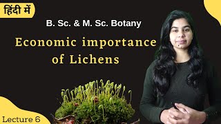 Lichens  Economic importance of Lichens  in Hindi  Botany  B Sc amp M Sc [upl. by Nytsirhc]