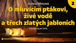 Božena Němcová O mluvícím ptákovi živé vodě a třech zlatých jabloních 23 [upl. by Adranoel22]