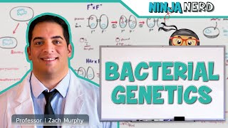 Bacterial Genetics [upl. by Samson]