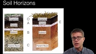 Soil and Soil Dynamics [upl. by Burrill193]