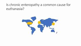 Chronic enteropathy in canines  Video abstract ID 162774 [upl. by Tiossem]